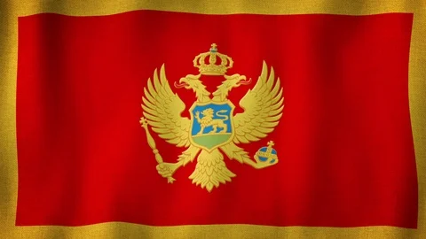 Montenegro flag waving in the wind Stock-Footage 102455727