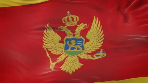Montenegro flag waving in the wind with highly detailed fabric texture 動画素材 124713060