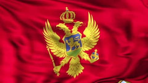 Montenegro Waving Flag Background Video stock 204133610