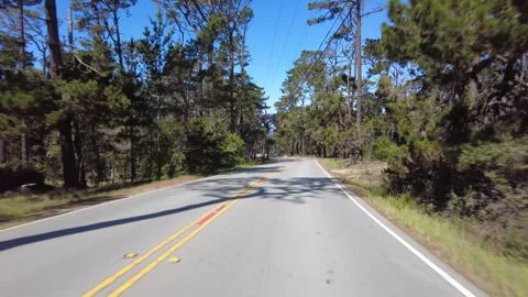 Monterey 17 Mile Drive Forest Front View 02 Driving Plate California USA Stock Footage 339095986
