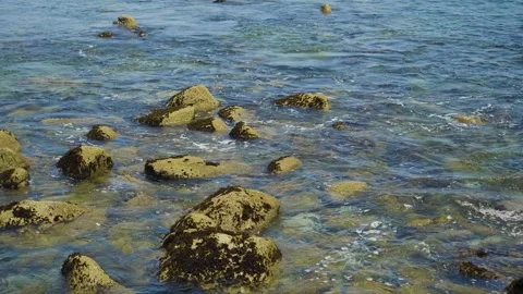 Monterey Bay Stock Footage 244823266
