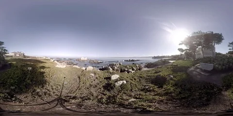 Monterey Bay grassy shore Stock Footage