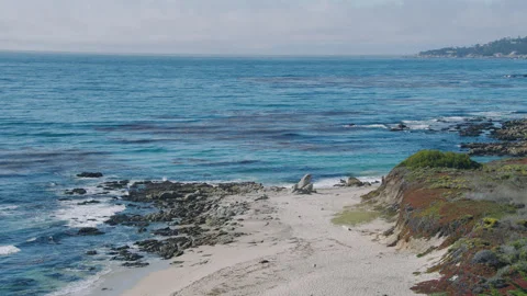 Monterey Carmel State Beach 2 Stock Footage 276938541
