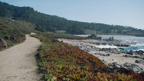 Monterey Carmel State Beach 9 Stock Footage 276942161