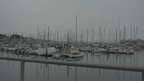 Monterey Marina Stock Footage 134425695