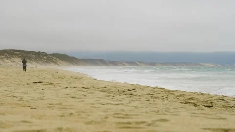 Monterey State Beach Stock Footage 244683440