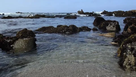 MontereyCoast Video stock 158501659