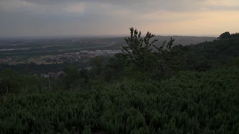 Montevecchia vineyard sunset italy wine red milan Stock Footage 90839433