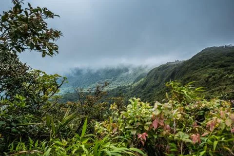 Monteverde Cloud Forest Reserve view Stock Photos