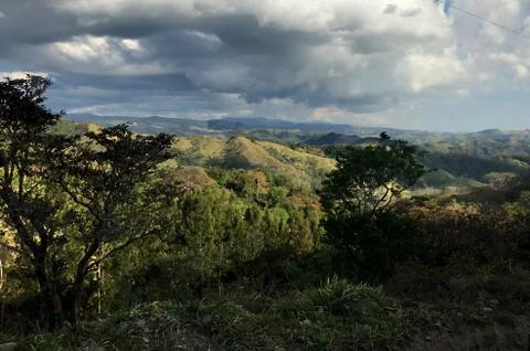 Monteverde Stock Photos