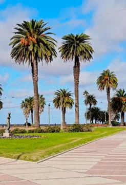 Montevideo Stock Photos