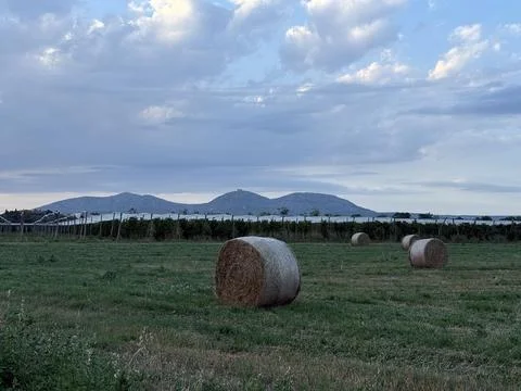 Montgri fields Foto stock
