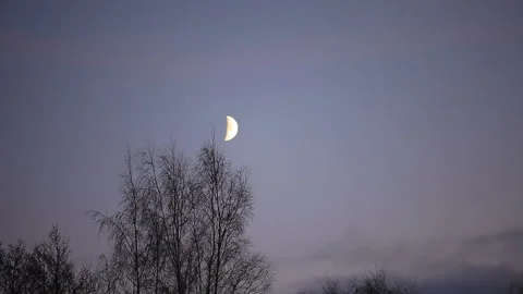 Month in the sky Stock Footage 121582664