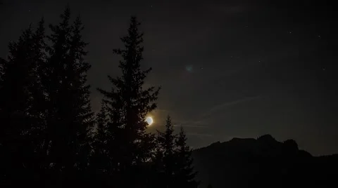 Month Through Trees 스톡 동영상 54125093