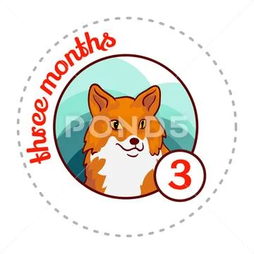 Monthly baby sticker Stock Illustration