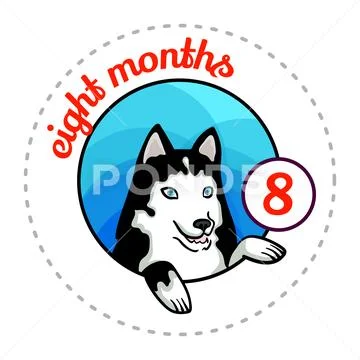 Monthly baby sticker Stock Illustration