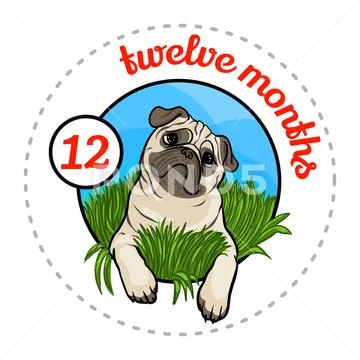 Monthly baby sticker Stock Illustration
