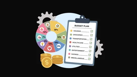 Monthly Budget Pie Chart Stock Footage 339445921