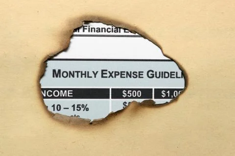 Monthly budget plan Illustration