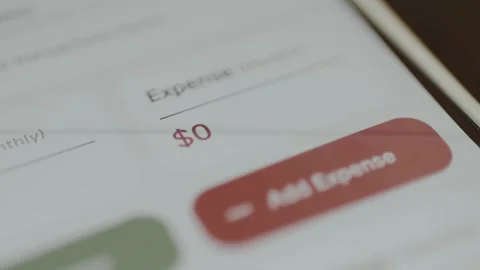 Monthly Expense of 0 US dollars within the financial tracking app interface Stock Footage 329285599