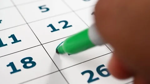 Monthly Planner Stockbeeldmateriaal 304536873