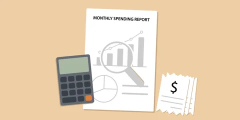 Monthly Spending Report Analysis Animation Stock Footage 337380733