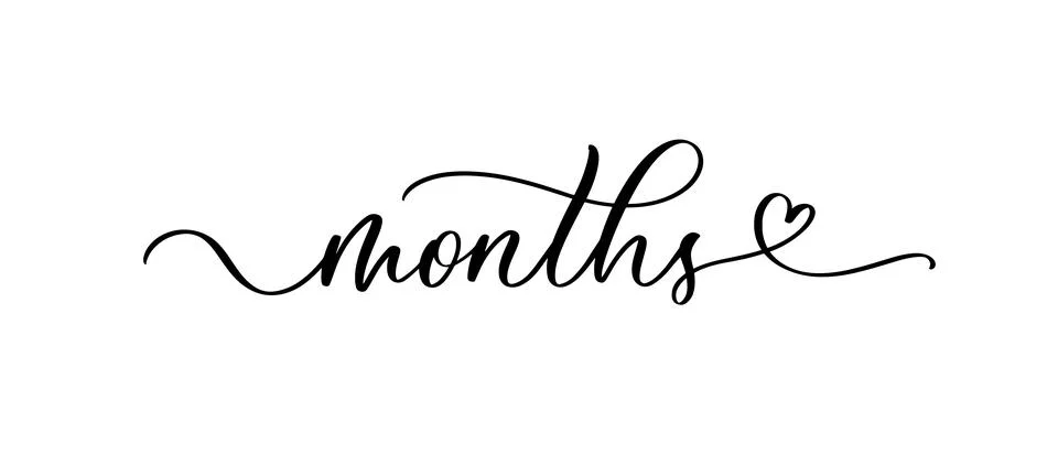 Months continuous line cursive text. Lettering script vector illustration for Illustrazione stock