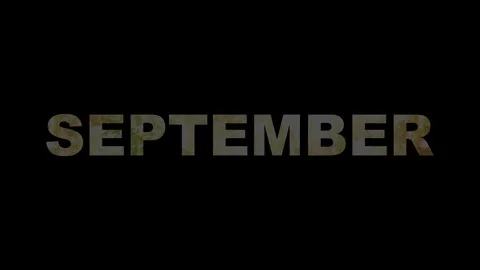 Months fireworks 02 Stock Footage 75664025