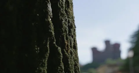 Montichiari, Italy - Castle from Behind a Tree Stock Footage 249361663