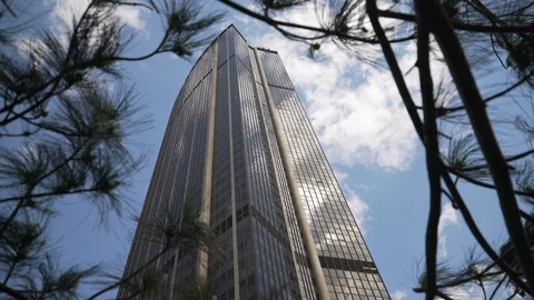 Montparnasse Tower seen through pine tree branches, Paris, France Video stock 101588059