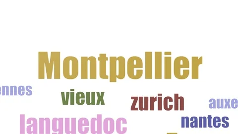 Montpellier Tagcloud Animated Isolated Stock Footage 107245842