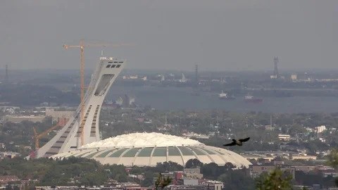 Montreal City & Olympic Stadium view at one of Mont-Royal's Observatories Stock Footage