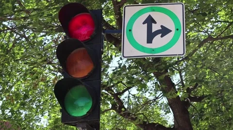 Montreal Traffic Lights with panel Red to Green Stock Footage 51529555