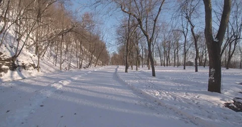 Montroyal sunset28 Stock Footage 120606004