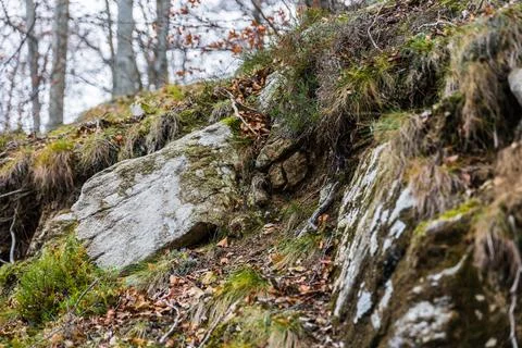 Montseny Transforms Stock Photos