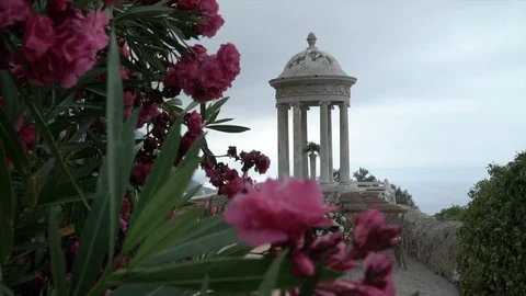 Monument and pink flowers Stock Footage