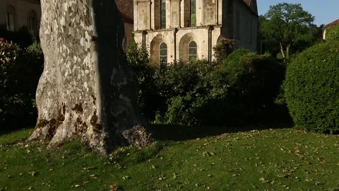 Monument behind a tree Stock Footage 77268081