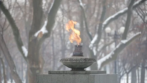 Monument 'Eternal Flame' Stock Footage 102918849