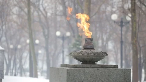 Monument 'Eternal Flame' Stock Footage 102918878