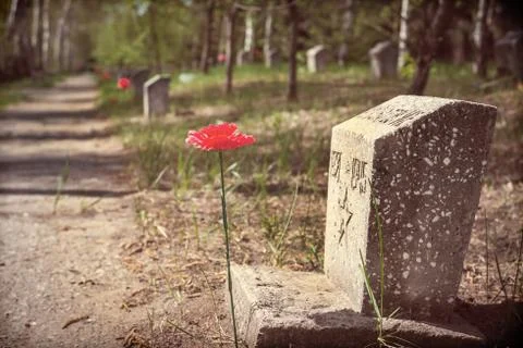 The monument to the fallen of the second world war with the assigned colors. Stock Photos