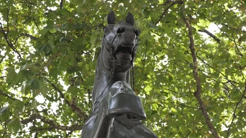 Monument. The head of a horse. Stock Footage 79603923