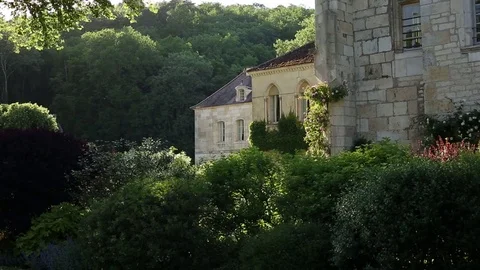 Monument hidden by nature Stock Footage 77265319