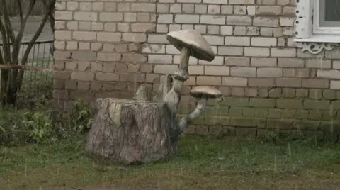 Monument-mushroom Stockbeeldmateriaal 12664573