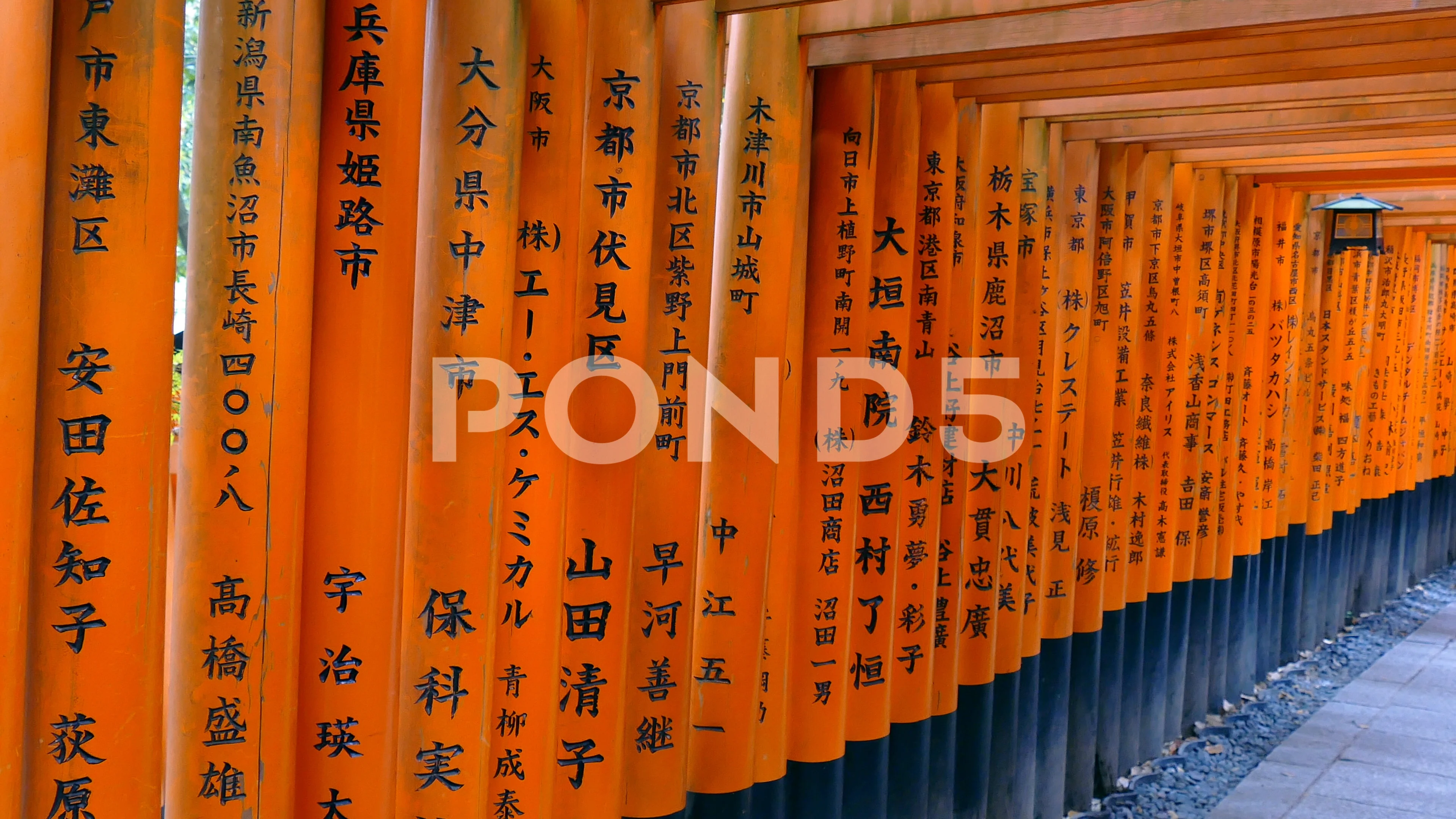 Monument Orange Torii Gates Fushimi Inar Stock Video Pond5