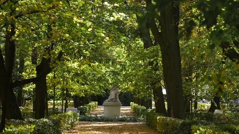 Monument in the park autumn Stock Footage 80987498