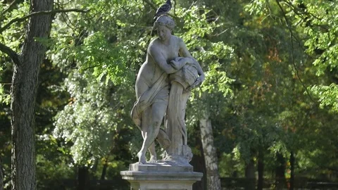Monument with pigeon on its head in the park autumn Stock Footage 80987630