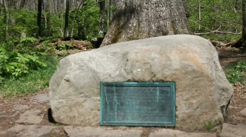  monument plaque in the woods 動画素材 773634