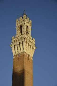 Monument in Siena 写真素材