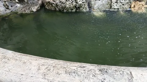 Monument with statue Budapest Stock Footage 101342098