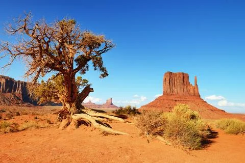 Monument valley Foto stock